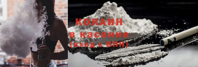 Cocaine FishScale  купить закладку  Гурьевск 