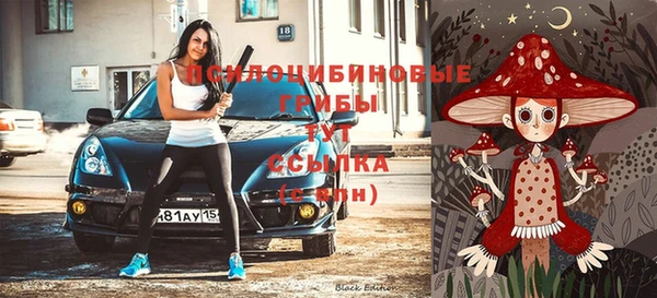 mix Осинники