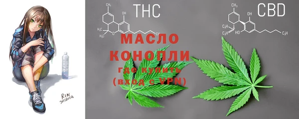прущие грибы Осташков