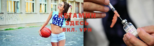 прущие грибы Осташков