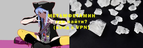 прущие грибы Осташков