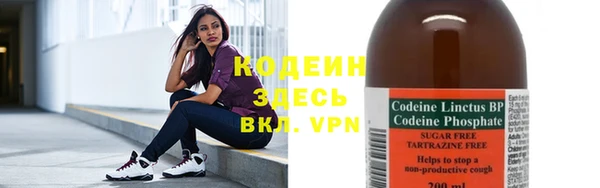 прущие грибы Осташков