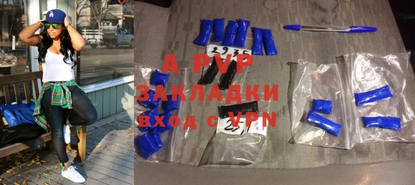 прущие грибы Осташков
