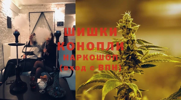 прущие грибы Осташков