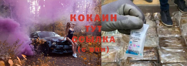 прущие грибы Осташков