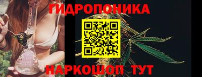 не бодяженный Бийск