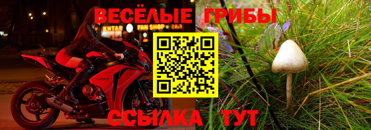 Галлюциногенные грибы GOLDEN TEACHER  Гурьевск  Псилоцибиновые грибы прущие грибы 