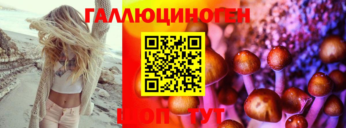 Гурьевск  Галлюциногенные грибы мухоморы  Вход с VPN 
