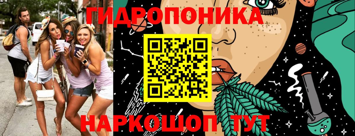 Марихуана Bruce Banner  Марихуана Amnesia  Гурьевск  Канабис Amnesia  Бошки Шишки LSD WEED 